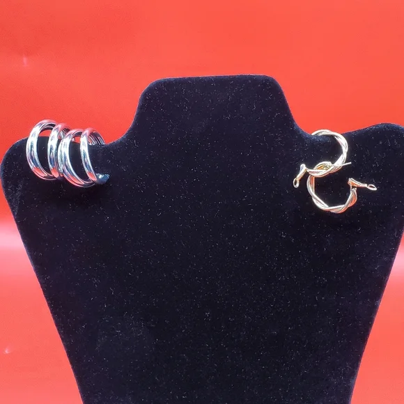 ⭐2 Pairs of Hoop Earrings - Picture 8 of 16